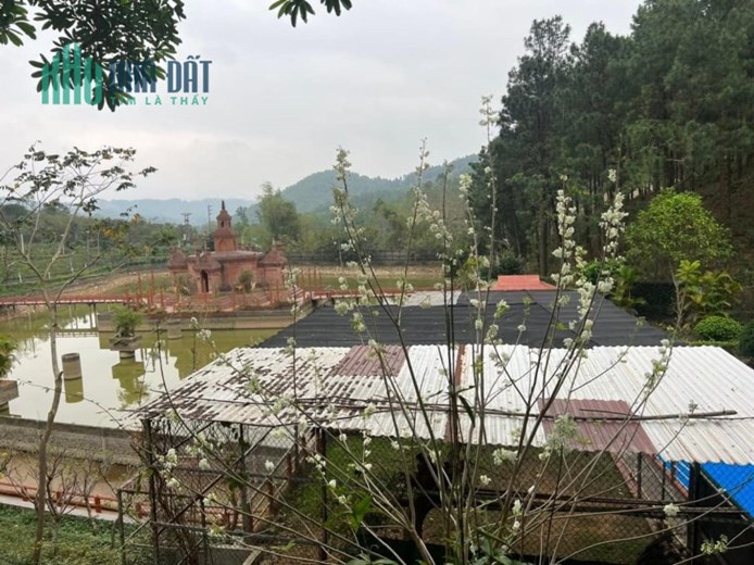 Cần bán lô đất nghỉ dưỡng 27 hecta tại Thanh Cao, Ngọc Thanh, Phúc Yên, Vĩnh Phúc
