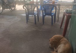 Chính Chủ Cần Cho mướn mặt bằng bán buổi sáng