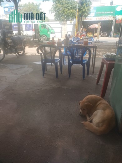 Chính Chủ Cần Cho mướn mặt bằng bán buổi sáng
