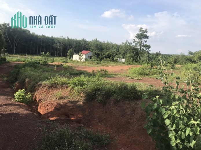 LÔ ĐẤT ĐẸP - CHÍNH CHỦ - GIÁ CỰC MỀM  Tại Minh Tâm, Hớn Quản, Tỉnh Bình Phước