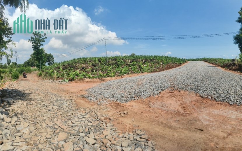Bán 1921m2 đất MT đường nhựa Xã Thanh Bình Trảng Bom 750tr/sào. Lh:0971662067.