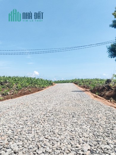 Bán 1921m2 đất MT đường nhựa Xã Thanh Bình Trảng Bom 750tr/sào. Lh:0971662067.