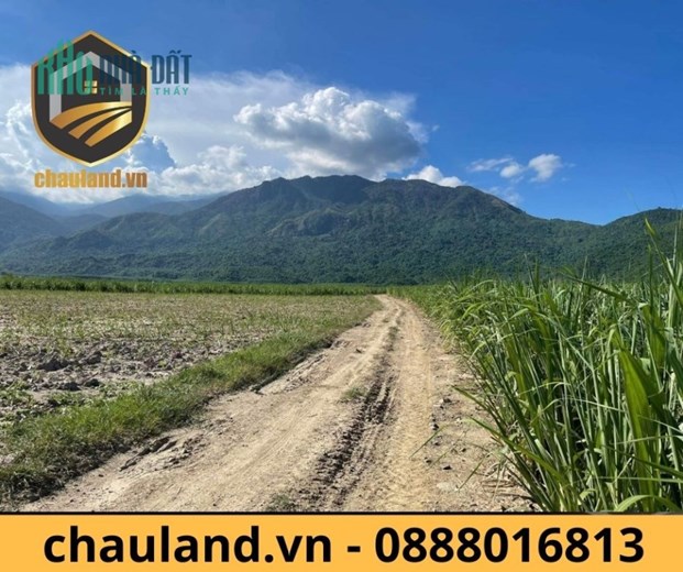 1.600m2 Đất Ninh Hòa, siêu rẻ chỉ 290 triệu, bao sang tên