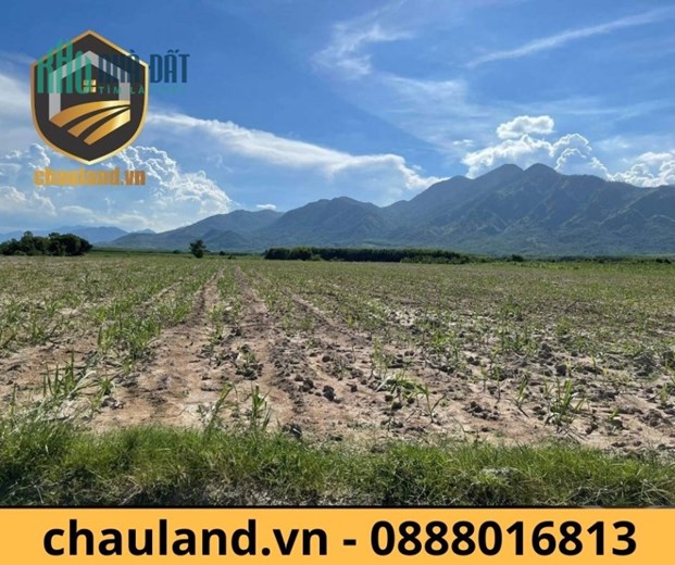 1.600m2 Đất Ninh Hòa, siêu rẻ chỉ 290 triệu, bao sang tên