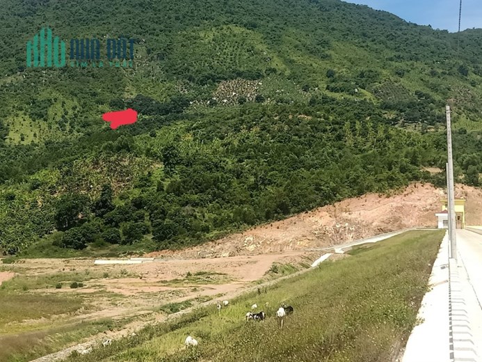 Chính Chủ Cần Bán Nhanh Đất Rẫy Giá Thấp Nhất Khu Vực Nha Trang - Khánh Hòa