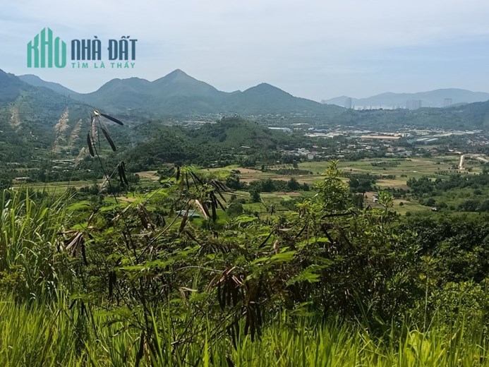 Chính Chủ Cần Bán Nhanh Đất Rẫy Giá Thấp Nhất Khu Vực Nha Trang - Khánh Hòa