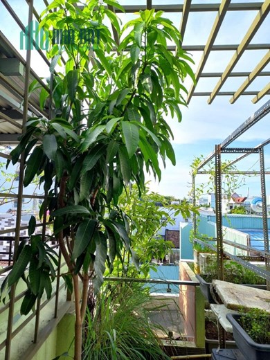 NHÀ ĐẸP - CHÍNH CHỦ - GIÁ TỐT Tại Phường Hòa Khê, Quận Thanh Khê, TP Đà Nẵng