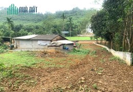 BẠN GỬI BÁN GẤP MẢNH ĐẤT SIÊU ĐẸP VIEW PANORAMA CÁNH ĐỒNG KIM BÔI HOÀ BÌNH