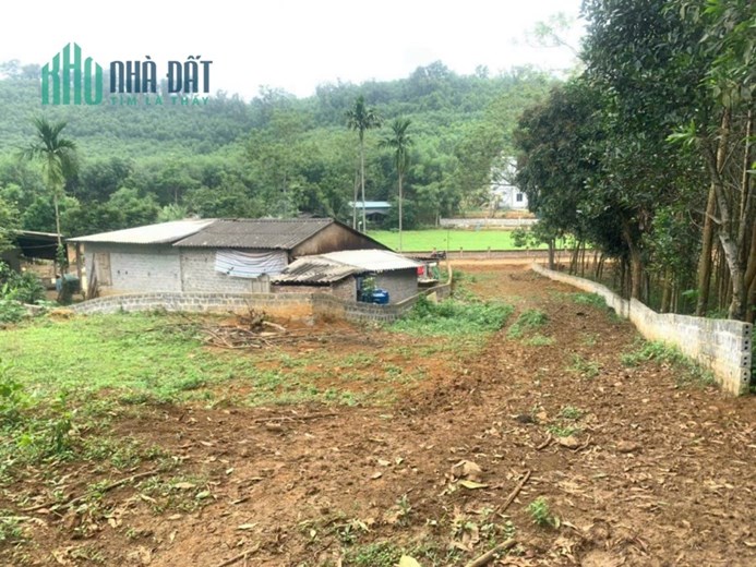 BẠN GỬI BÁN GẤP MẢNH ĐẤT SIÊU ĐẸP VIEW PANORAMA CÁNH ĐỒNG KIM BÔI HOÀ BÌNH
