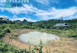BÁN 3.5ha ĐẤT TRANG TRẠI NGHỈ DƯỠNG.  KIM BÔI.HOÀ BÌNHI.VIEW THUNG LŨNG