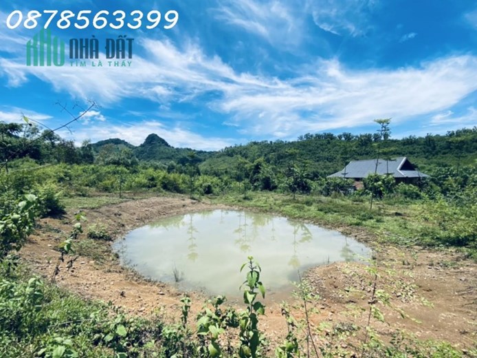 BÁN 3.5ha ĐẤT TRANG TRẠI NGHỈ DƯỠNG.  KIM BÔI.HOÀ BÌNHI.VIEW THUNG LŨNG