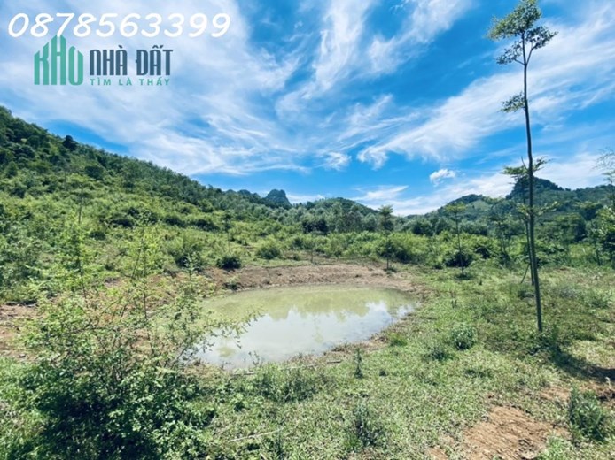 BÁN 3.5ha ĐẤT TRANG TRẠI NGHỈ DƯỠNG.  KIM BÔI.HOÀ BÌNHI.VIEW THUNG LŨNG