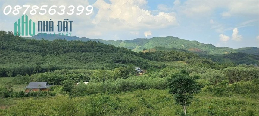 BÁN 3.5ha ĐẤT TRANG TRẠI NGHỈ DƯỠNG.  KIM BÔI.HOÀ BÌNHI.VIEW THUNG LŨNG