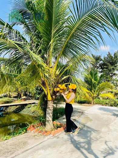 Chính chủ cần bán nhà vườn có view Suối nước chảy quanh năm tuyệt đẹp hiếm có ở Châu Đức, BRVT