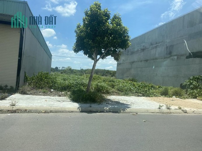 Sở Hữu Ngay LÔ ĐẤT SIÊU ĐẸP GIÁ ĐẦU TƯ Tại Xã Tân Bình, Bắc Tân Uyên, Bình Dương