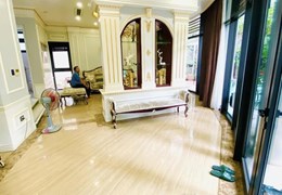 BÁN BIỆT THỰ SÂN VƯỜN, NHẤT CẦU GIẤY, TẶNG FULL NỘI THẤT NHẬP KHẨU CHÂU ÂU. 268m VUÔNG = HƠN 70 TỶ