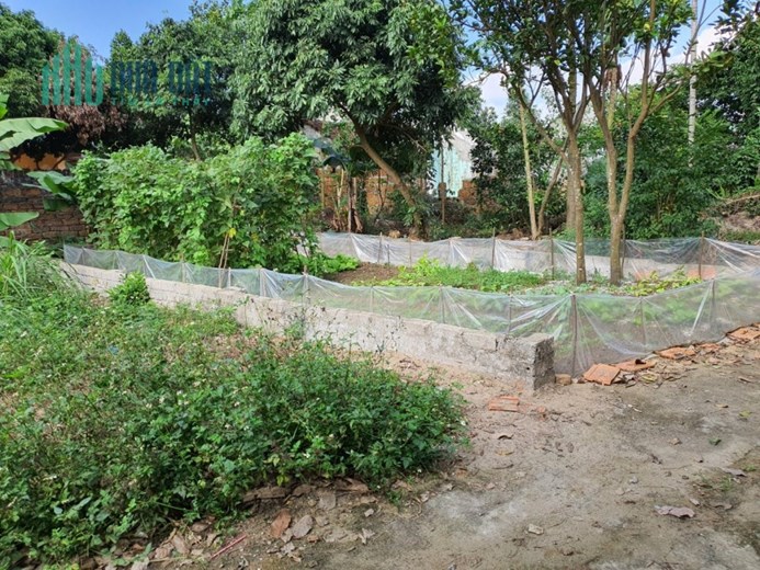 BÁN 79M2 GIÁ NHỈNH HƠN 900TRIEU TẠI BÌNH YÊN - SÁT TỈNH LỘ 420 HÒA LẠC