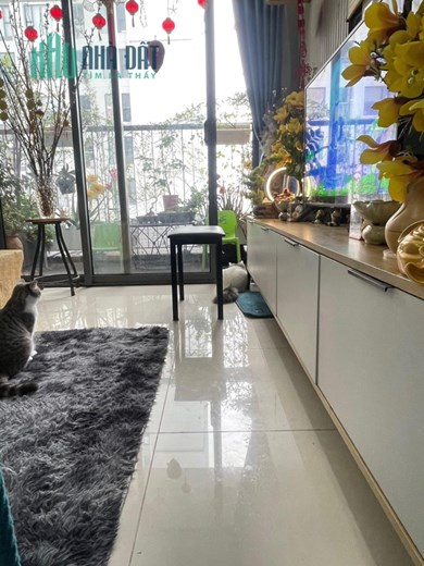 chung cư Rose Town 79 Ngọc Hồi 80 mét 2 ngủ chỉ 2,9 tỷ