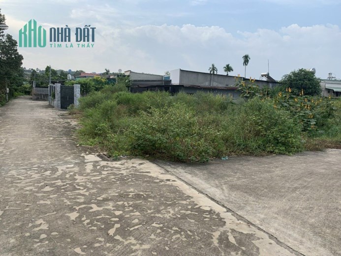 Bán 2 lô đất liền kề tại xã An Phước, Long Thành, tổng DT 3823,2m2, SHR, 26 tỷ. Lh:0962590702