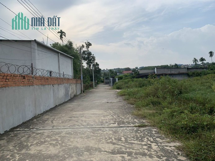 Bán 2 lô đất liền kề tại xã An Phước, Long Thành, tổng DT 3823,2m2, SHR, 26 tỷ. Lh:0962590702