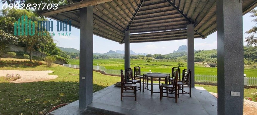 bán gấp resort gần 4000m mới xâyBT 2 tầng sẵn khuôn viên, bể bơi giá chỉ 9 tỷ