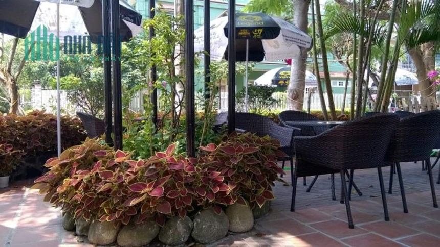 SANG NHƯỢNG QUÁN CÀ PHÊ Cần sang quán Cafe Ngẫu Nhiên