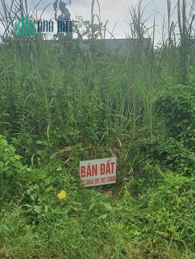 ĐẤT ĐẸP - GIÁ TỐT - Cần Bán Lô Đất Vị Trí Đắc Địa Tại Xã Tân Hạnh, Huyện Long Hồ, Vĩnh Long
