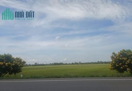 CHÍNH CHỦ CẦN BÁN NHANH Lô Đất  Đẹp Mặt Tiền Lộ 61C Gần Trường Cao Đăng Luật Vị Thanh, Hậu Giang