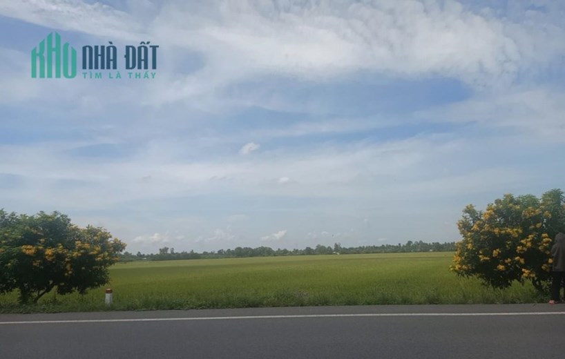 CHÍNH CHỦ CẦN BÁN NHANH Lô Đất  Đẹp Mặt Tiền Lộ 61C Gần Trường Cao Đăng Luật Vị Thanh, Hậu Giang