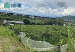 Bán Nhà Mặt Tiền Đường Bê Tông – Tân Thành – Đức Trọng – Lâm Đồng – 7606m2