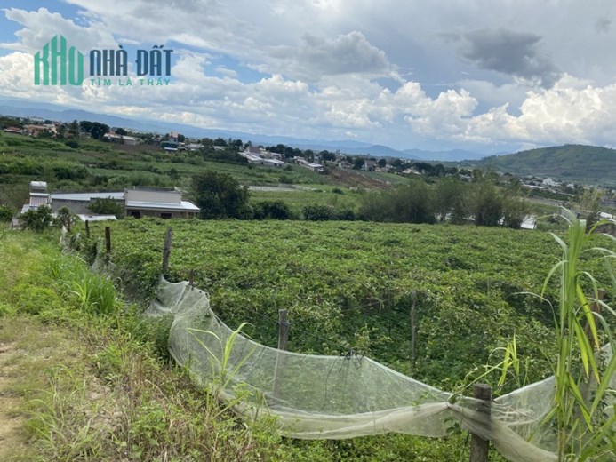 Bán Nhà Mặt Tiền Đường Bê Tông – Tân Thành – Đức Trọng – Lâm Đồng – 7606m2