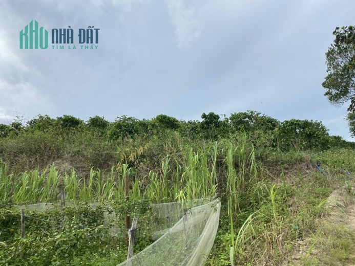 Bán Nhà Mặt Tiền Đường Bê Tông – Tân Thành – Đức Trọng – Lâm Đồng – 7606m2