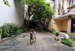 Bán đất đường Lạc Long Quân, Cầu Giấy, ngõ ô tô vào, mặt tiền rộng, 320m, chỉ 47 tỷ