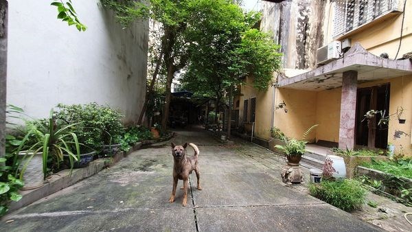 Bán đất đường Lạc Long Quân, Cầu Giấy, ngõ ô tô vào, mặt tiền rộng, 320m, chỉ 47 tỷ