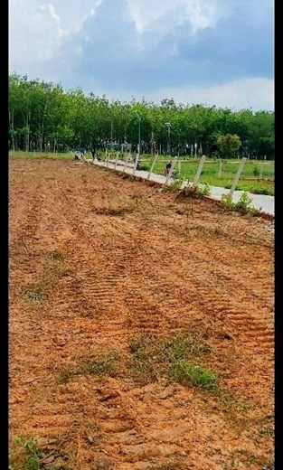 Đất Giá Rẻ Gò Dầu Chỉ 7xx/Nền