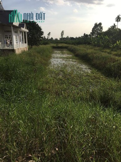 ĐẤT ĐẸP - GIÁ TỐT – Bán Lô Đất đường bốn tổng - một ngàn Tại Châu Thành A , Hậu Giang
