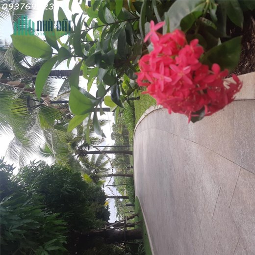 Bán đất thổ cư khu sinh thái Làng bưởi Tân Triều,Gần chợ Tân Bình Huyện Vĩnh Cửu,Đồng Nai