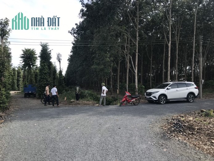 Bán 11000m2 (sẵn 300m2 thổ) tại BRVT SHR 8 tỷ. Lh;0911912868.