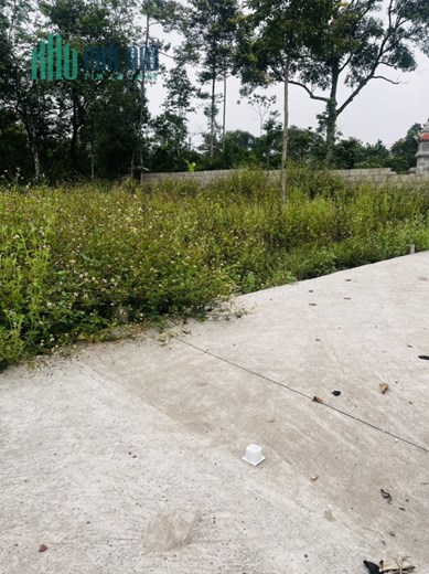 Chính chủ cần bán đất tổ 9, Hạ 1, Phường Thủy Xuân, Thành phố Huế ( Cách đường chính Tịnh Trúc Gia