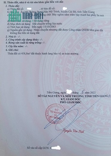 CHÍNH CHỦ Bán 8 Công Đất – Giá Cực Rẻ Tại Cái Bè, Tiên Giang