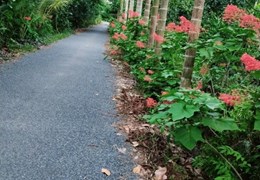 ĐẤT ĐẸP - GIÁ TỐT - Chủ Vườn Cần Bán Nhanh 5 Công Vườn Kênh 1/5 Xã Mỹ Tân, Cái Bè, Tiền Giang