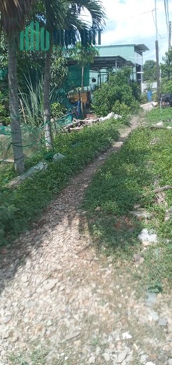 ++BÁN ĐẤT ĐƯỜNG TAM BẢO - ẤP LONG BÌNH - XÃ LONG HIỆP - HUYỆN BẾN LỨC - LONG AN