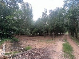 CHÍNH CHỦ CHO THUÊ ĐẤT - VỊ TRÍ LÝ TƯỞNG TẠI KHU VỰC TÂN THÀNH - PHÚ MỸ - BA RỊA VŨNG TÀU