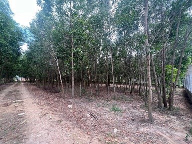 CHÍNH CHỦ CHO THUÊ ĐẤT - VỊ TRÍ LÝ TƯỞNG TẠI KHU VỰC TÂN THÀNH - PHÚ MỸ - BA RỊA VŨNG TÀU