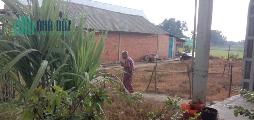 Bán 264m2 đất vườn gần UBND xã Mỹ Thạnh Đông SHR chỉ 620tr. Lh;0703669074
