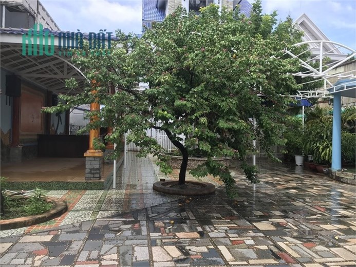 Cho thuê mặt bằng sân vườn 300m2 đường 30/4, tpvt