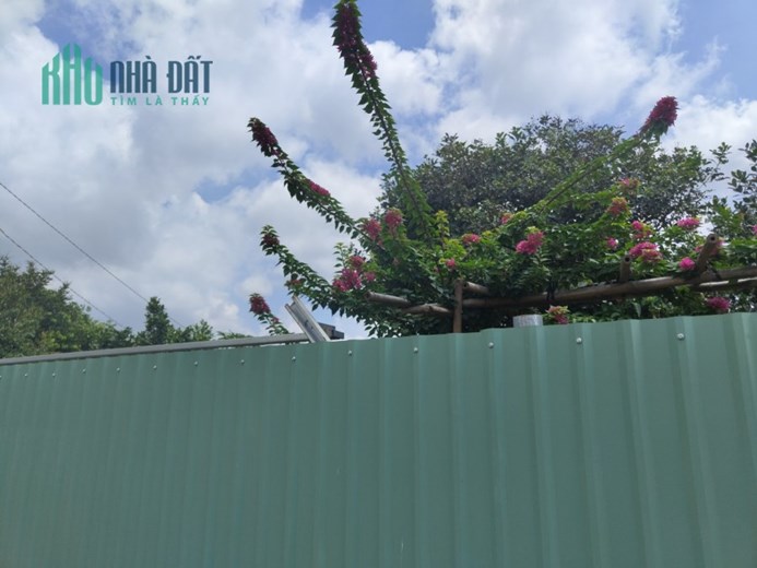 BÁN ĐẤT XÃ LONG PHƯỚC - BÀ RỊA - TỈNH BÀ RỊA VŨNG TÀU