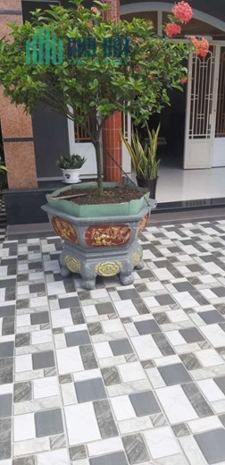 Chính Chủ Cần Bán Nhà Giá Rẻ Vị Trí Trung Tâm