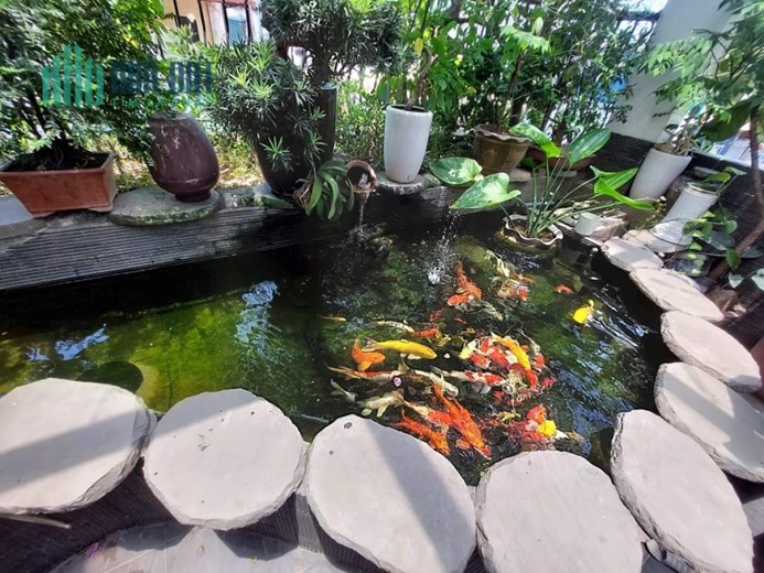BÁN NHÀ TẶNG CÁ KOI - Siêu Phẩm lô góc 40m2x5T mặt phố Kim Hoa, Đống Đa hơn 12 Tỷ.
