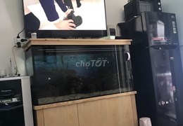 Cho thuê phòng trọ ngõ 219 Định Công Thượng,Hoàng Mai, Hà Nội